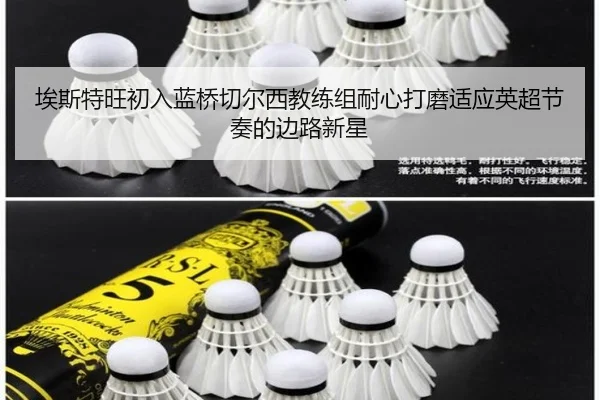 埃斯特旺初入蓝桥切尔西教练组耐心打磨适应英超节奏的边路新星